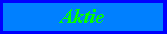 aktie